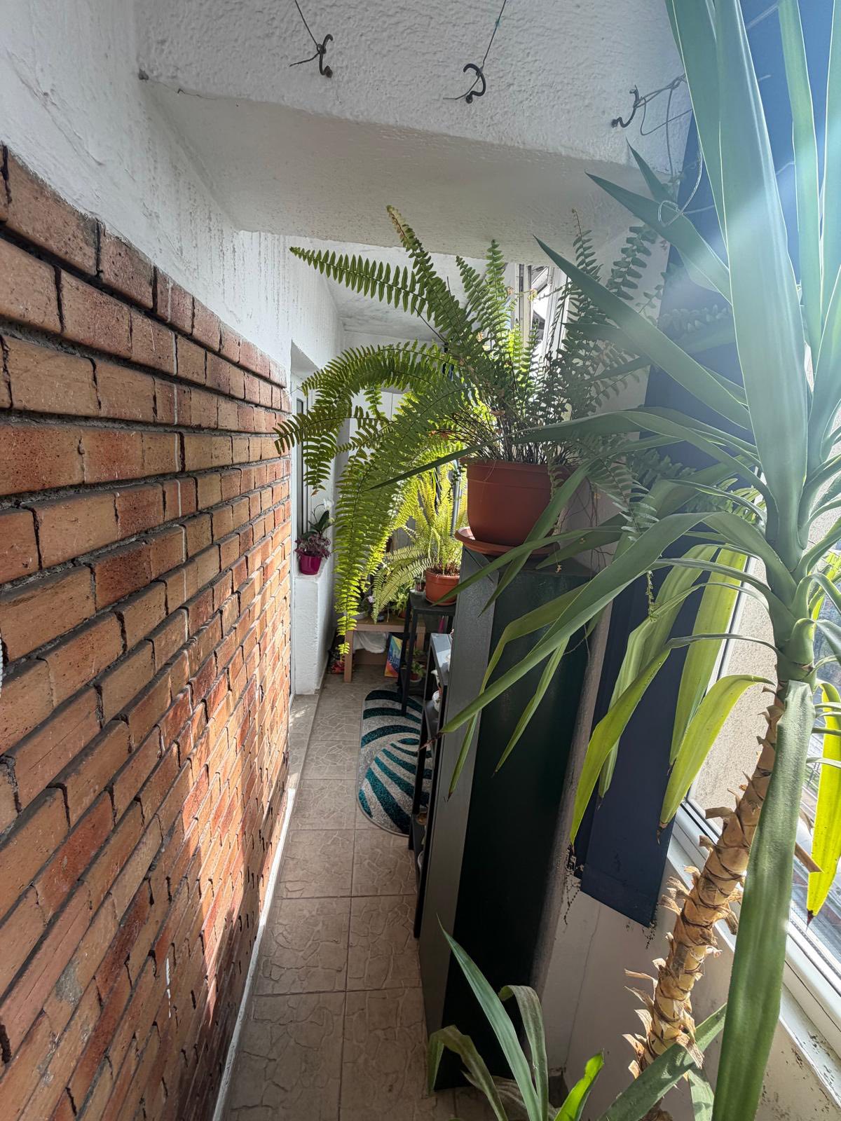 663303435_122199749816585028_6857593625266170581_n