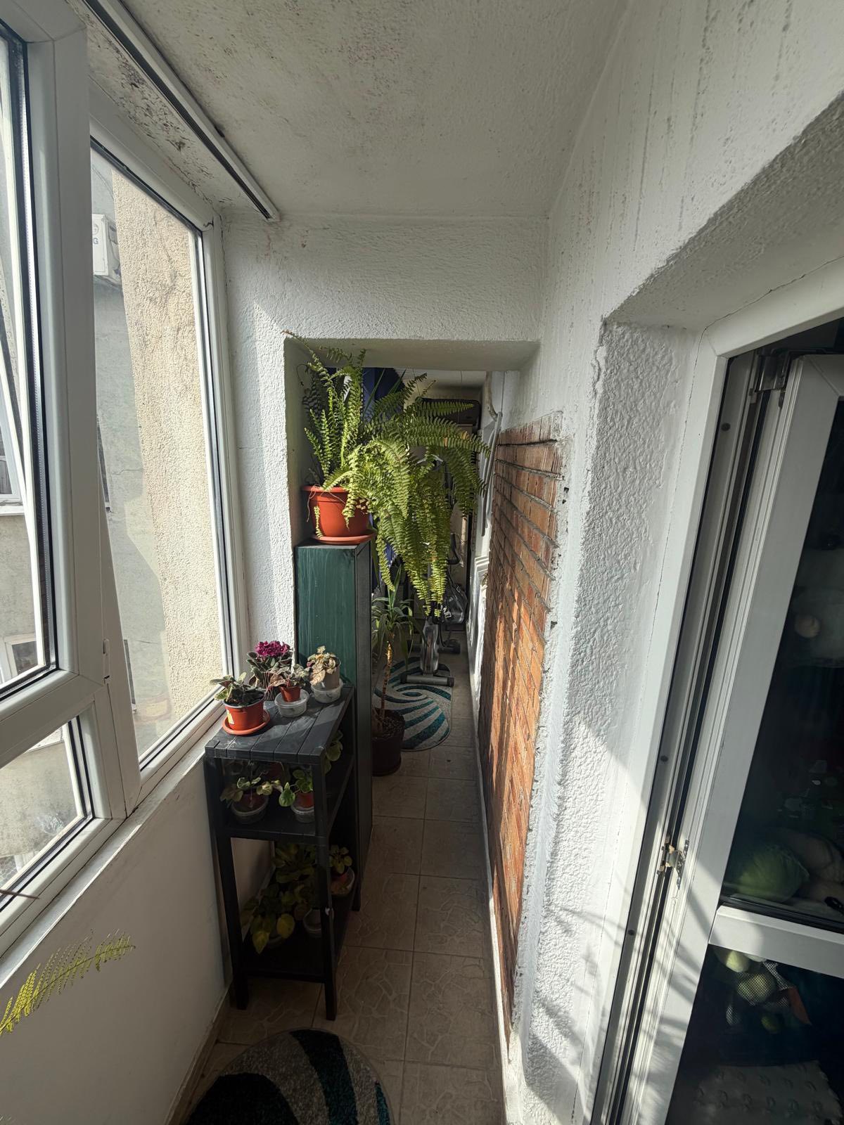 665878288_122199749966585028_3901350958324704128_n