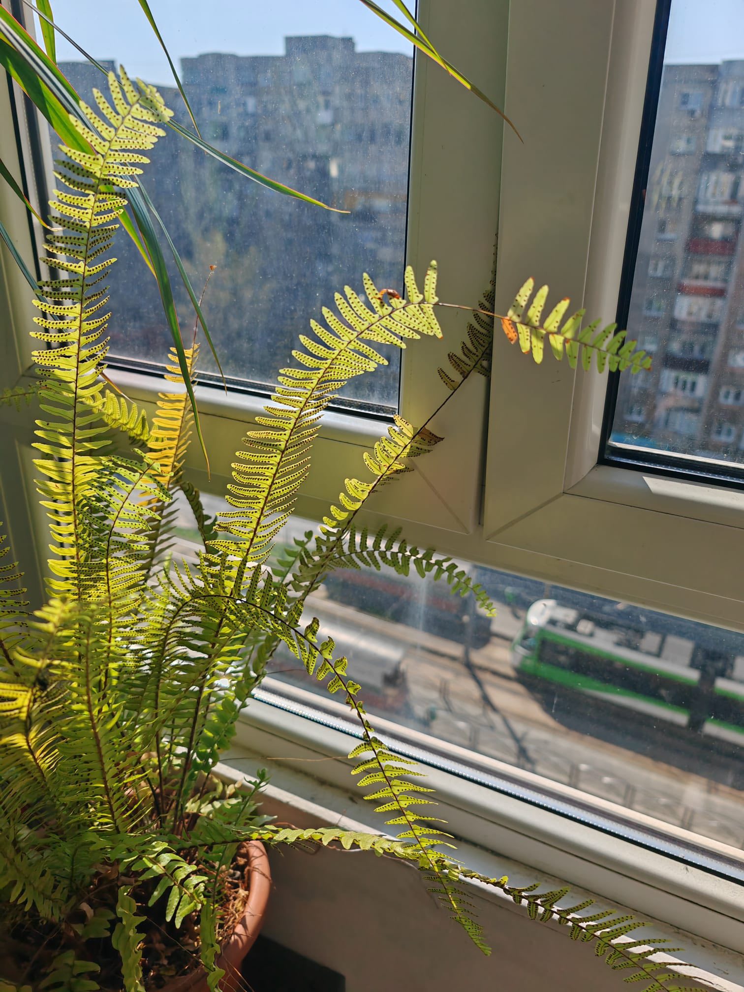 667318717_122199749942585028_5784191101623178909_n