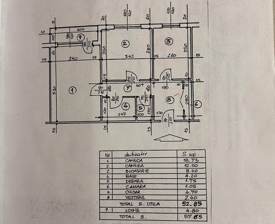 723557024_122208204662585028_8748448760888705859_n